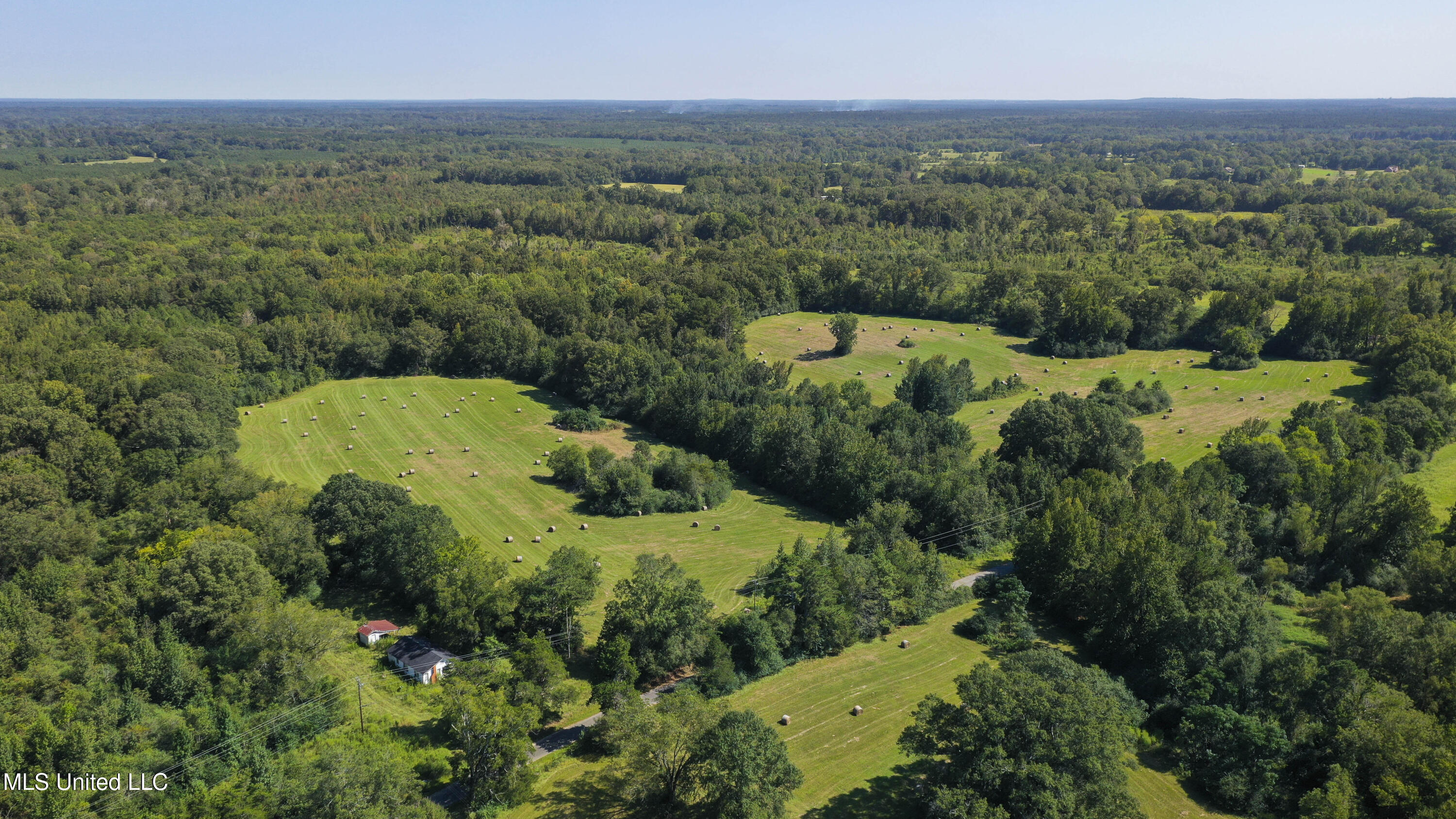 Clifton Road Forest, MS 39074 - Photo 4 of 25 Clifton Rd-60 Acres-2