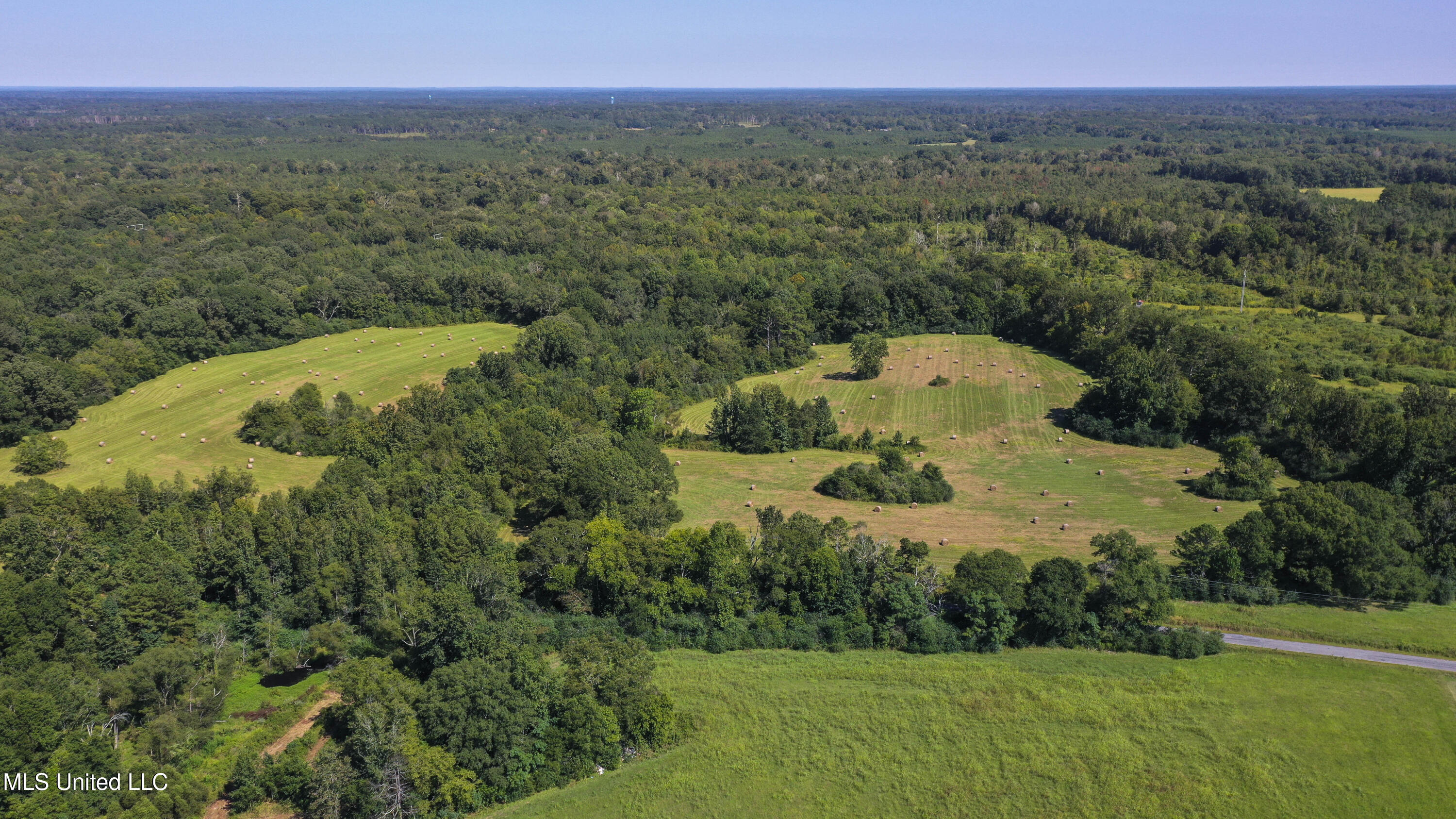 Clifton Road Forest, MS 39074 - Photo 5 of 25 Clifton Rd-60 Acres-3