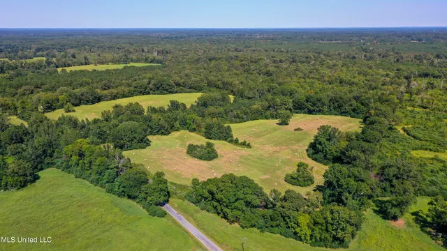$262,200 | Clifton Road, Forest, MS 39074