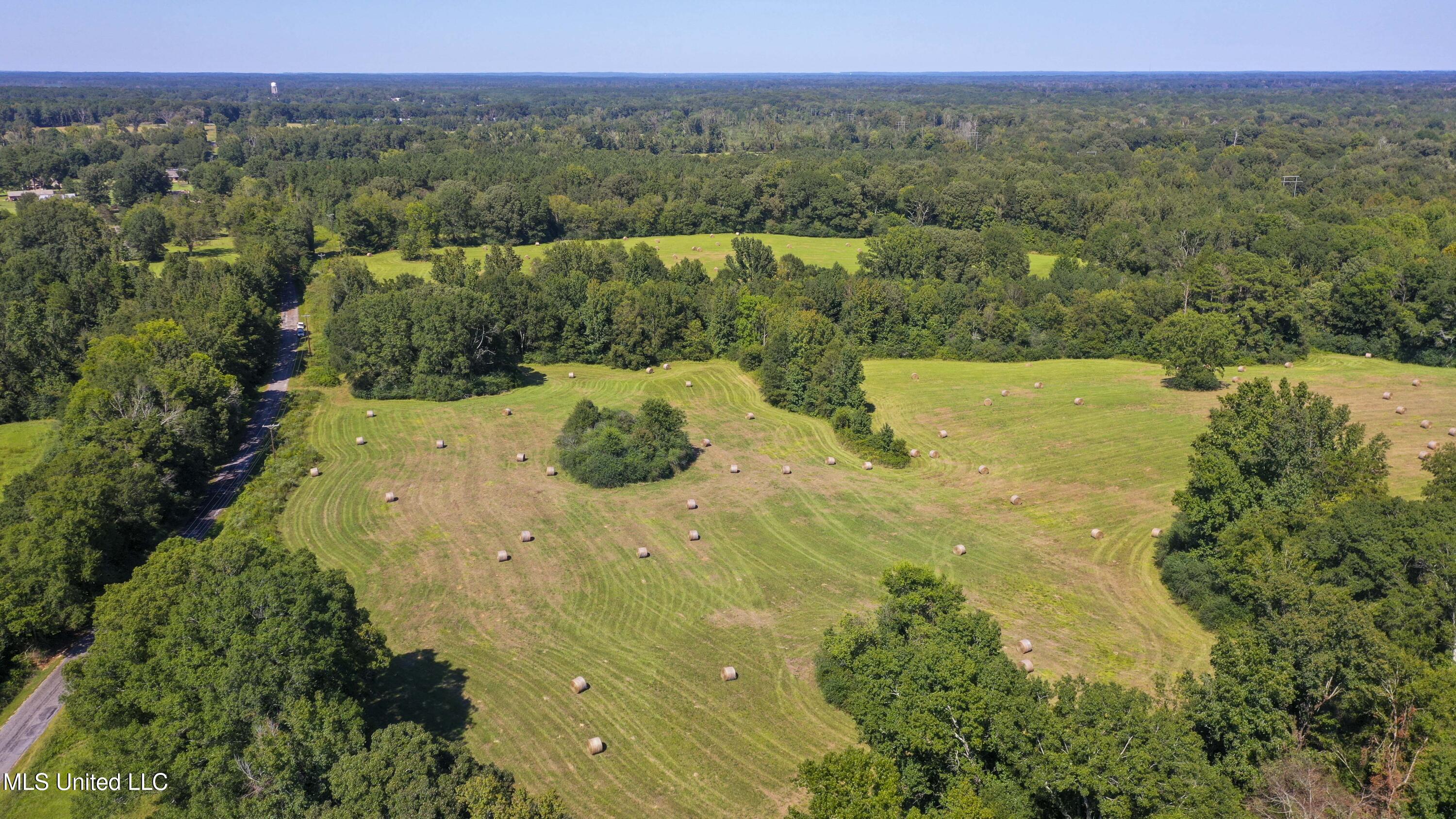 Clifton Road Forest, MS 39074 - Photo 10 of 25 Clifton Rd-60 Acres-8
