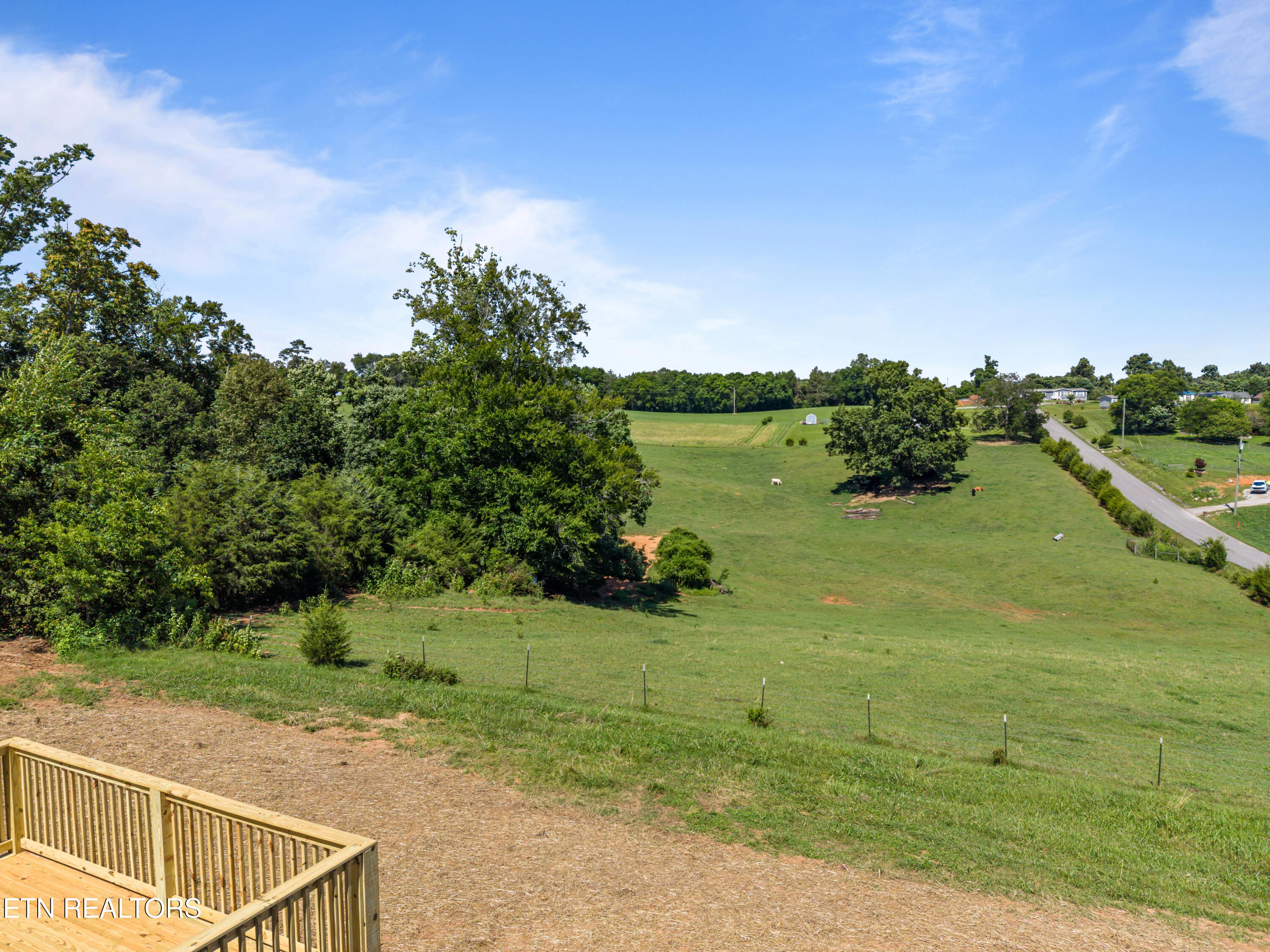 227 Lookout Drive Rutledge, TN 37861 - Photo 21 of 30 DRONE