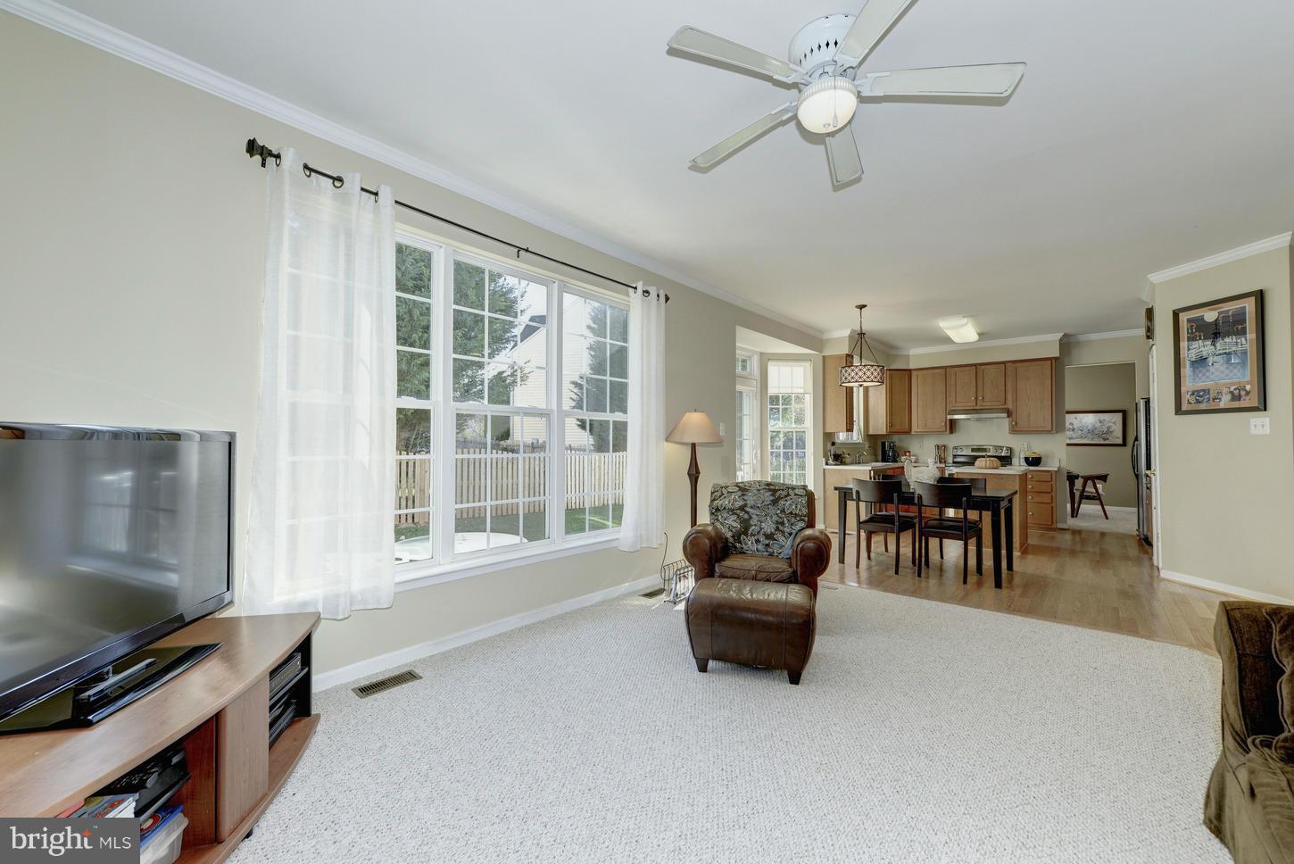 14007 Falconcrest Road Germantown, MD 20874 - Photo 15 of 29 Family Room reverse view