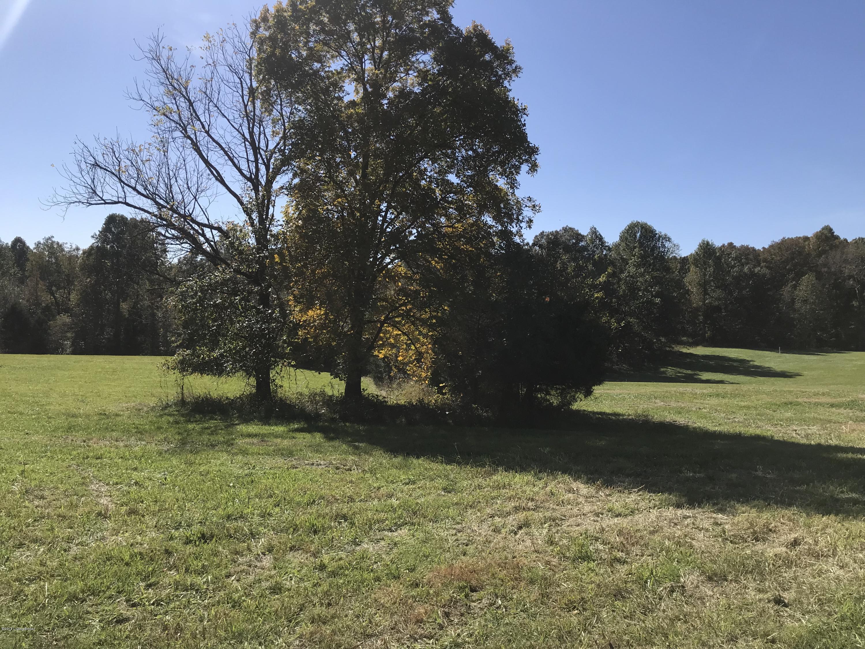 125 Rock Ridge Road Brandenburg, KY 40108 - Photo 5 of 14 IMG_5299