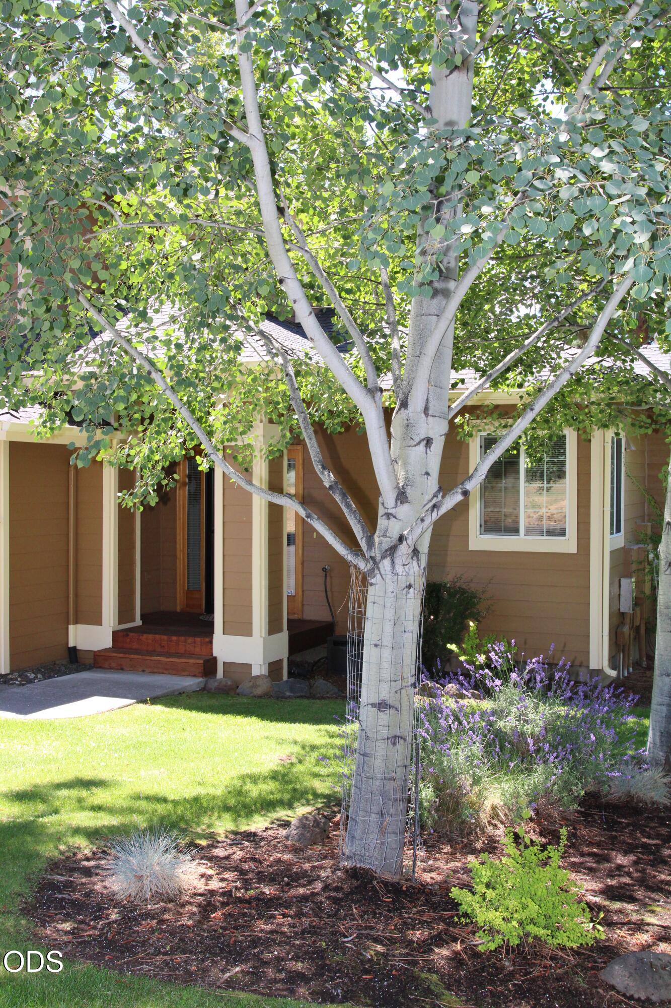 5010 Sora Loop Klamath Falls, OR 97601 - Photo 3 of 80