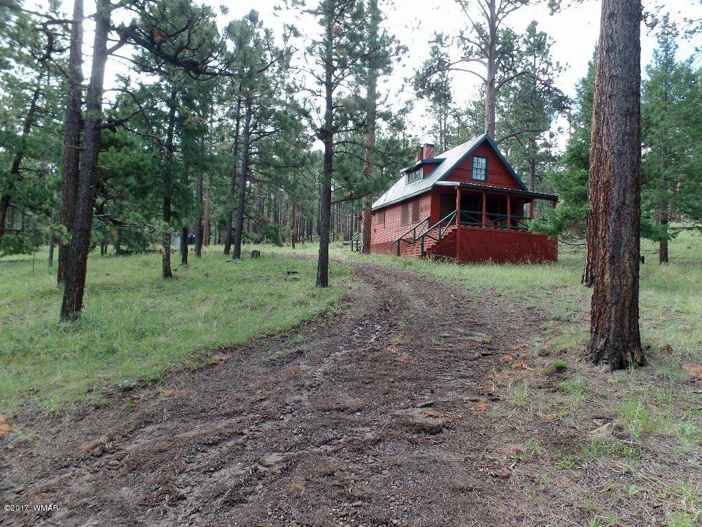 16 Co Road Greer, AZ 85927 - Photo 2 of 10