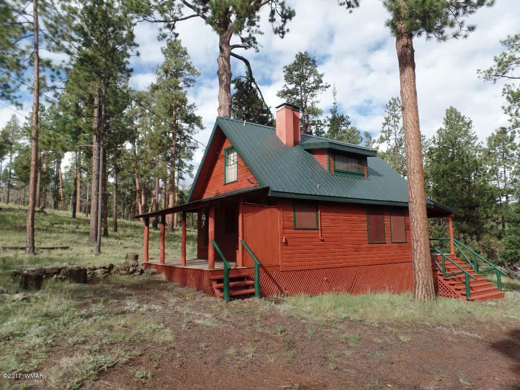 16 Co Road Greer, AZ 85927 - Photo 3 of 10