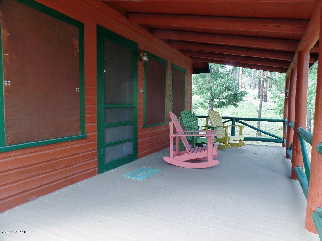 16 Co Road Greer, AZ 85927 - Photo 4 of 10