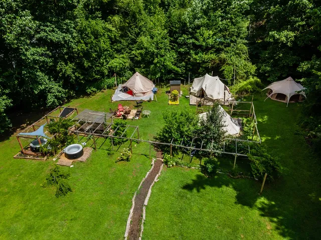 a wooden bench sitting in the grass near a house