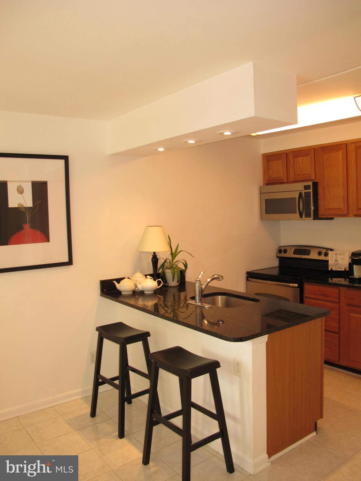 6008 Rabbit Hill Court Centreville, VA 20121 - Photo 2 of 30 Granite countertops