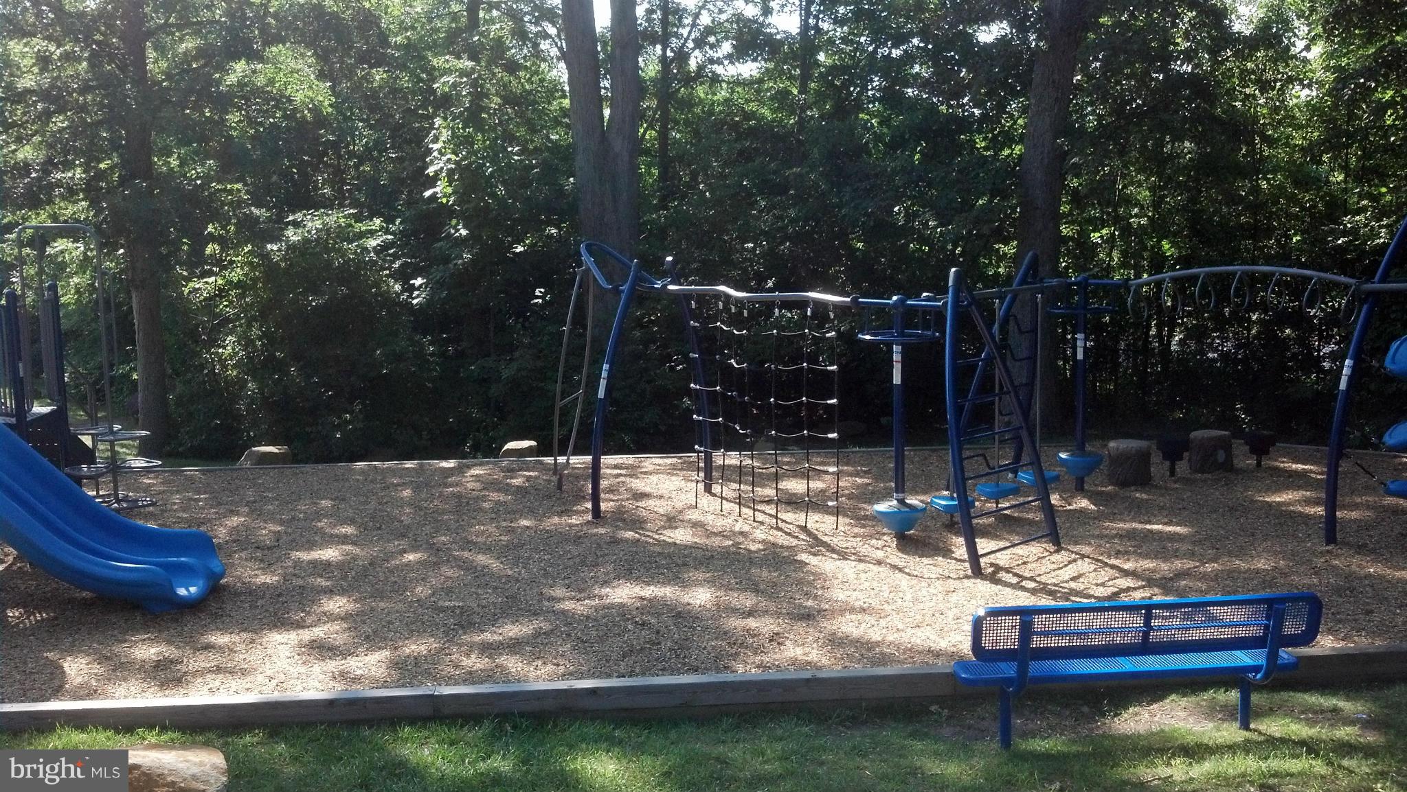 6008 Rabbit Hill Court Centreville, VA 20121 - Photo 27 of 30 Community