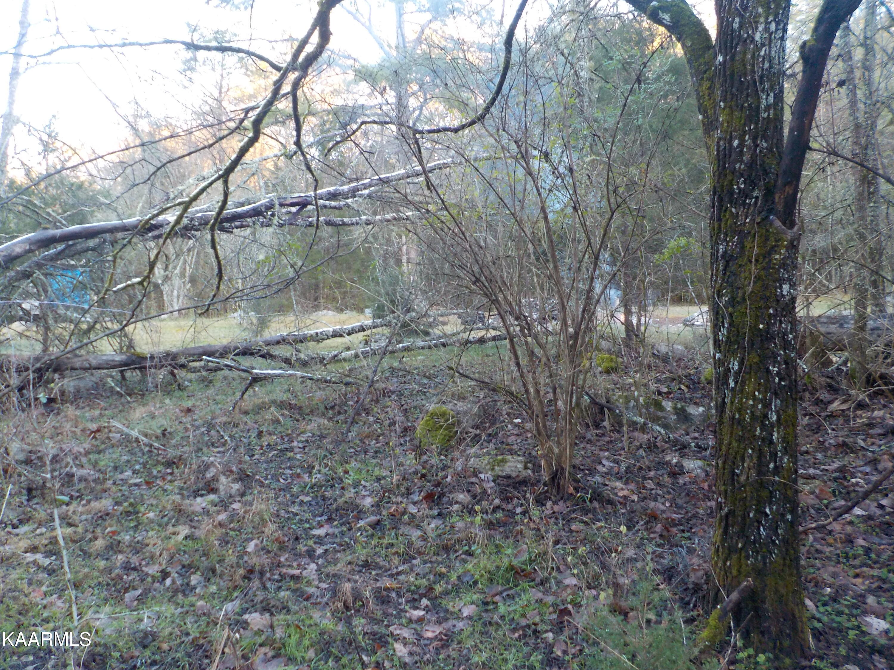 165 Wolfe Hollow Rutledge, TN 37861 - Photo 12 of 41 DSCN2476