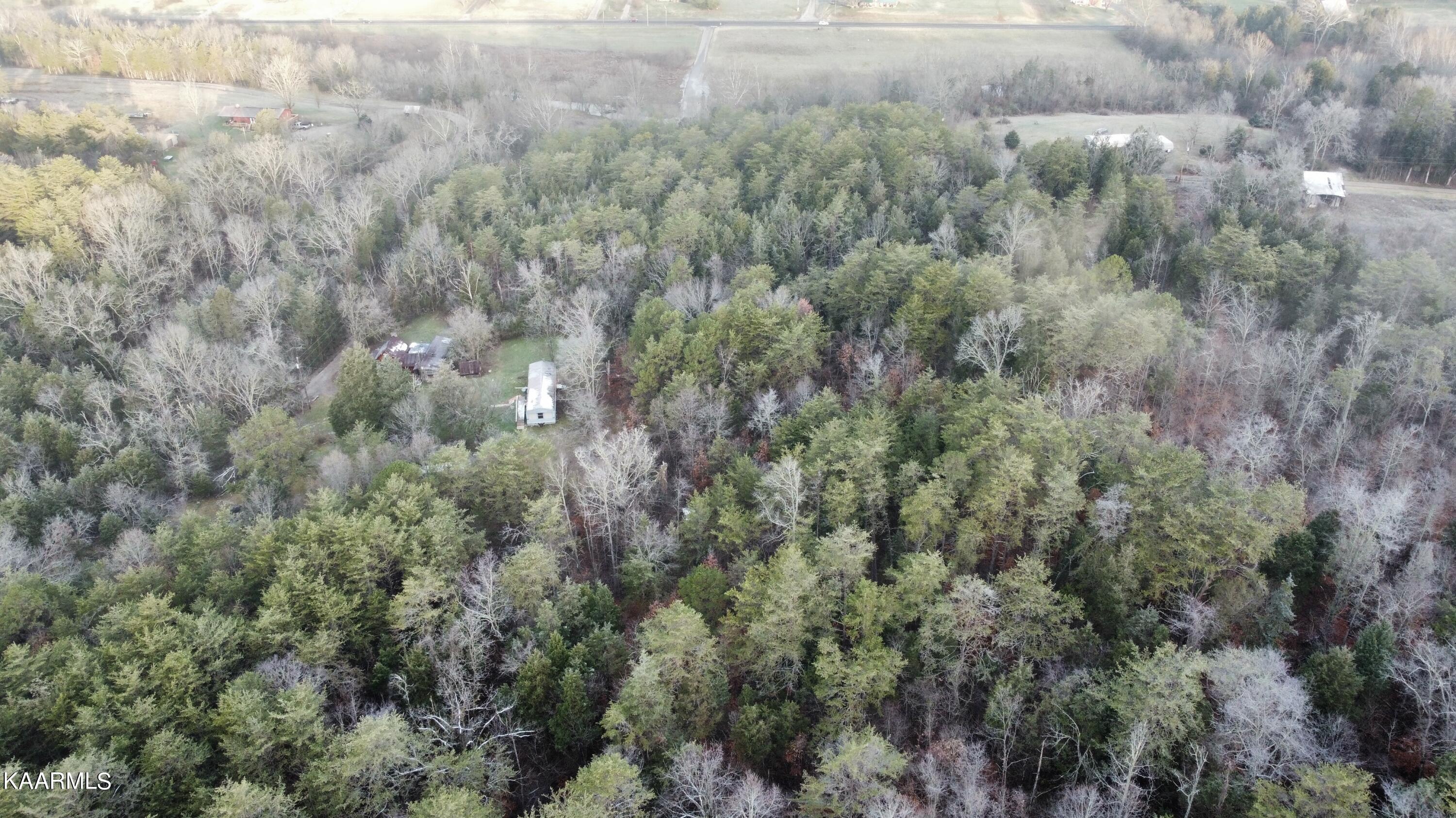165 Wolfe Hollow Rutledge, TN 37861 - Photo 21 of 41 Photo Jan 05, 8 37 33 AM