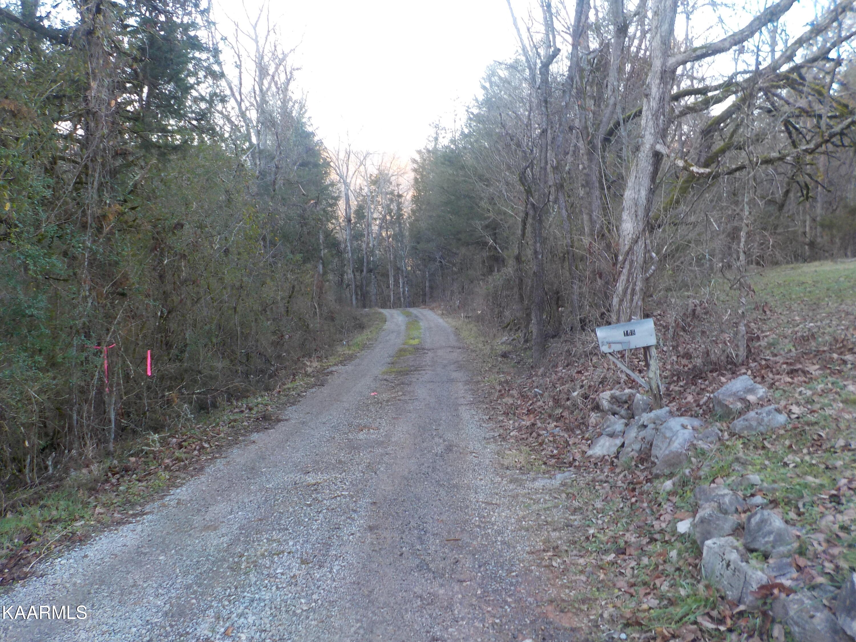 165 Wolfe Hollow Rutledge, TN 37861 - Photo 8 of 41 DSCN2472