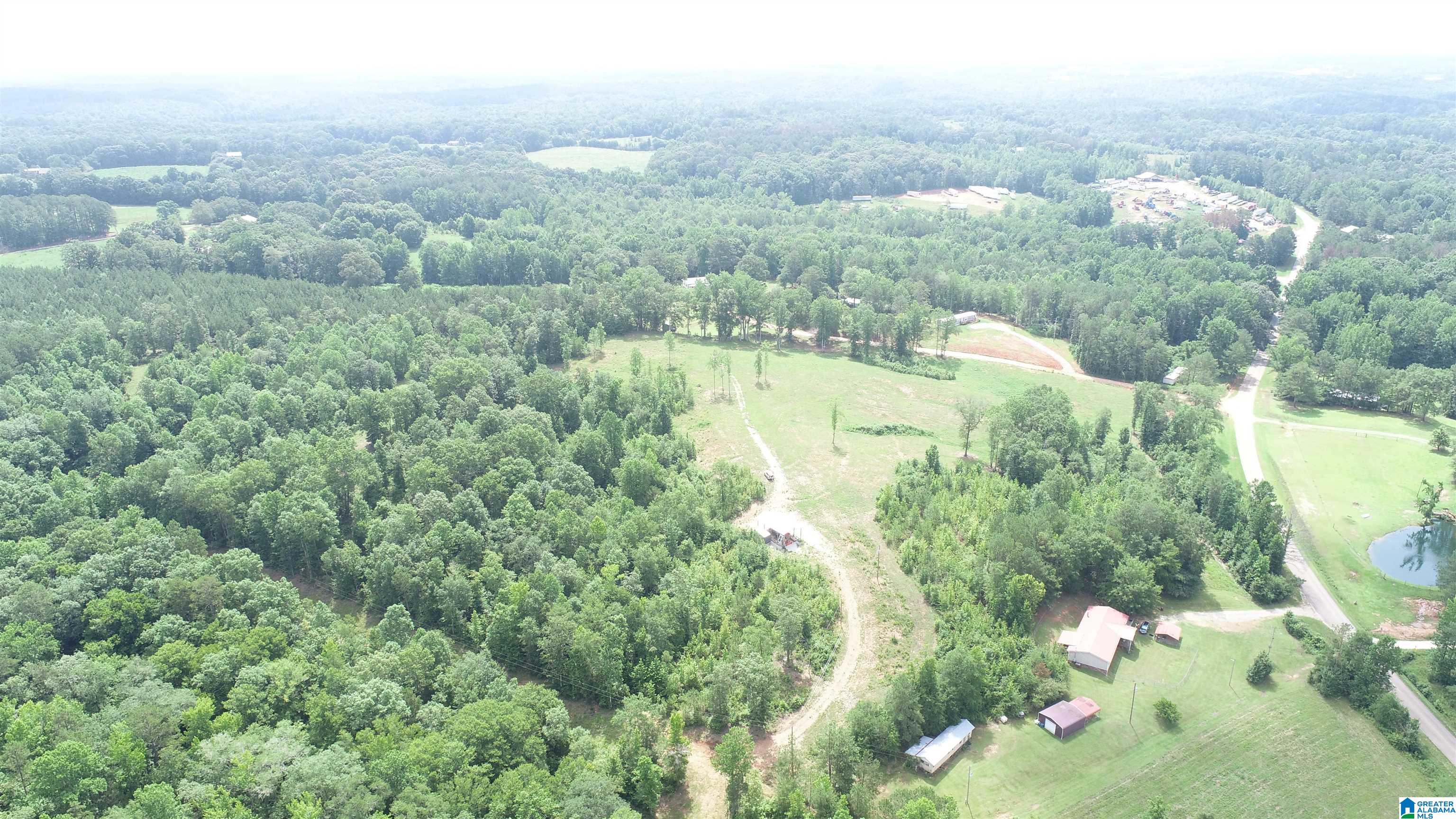 4 County Road Wedowee, AL 36278 - Photo 15 of 16