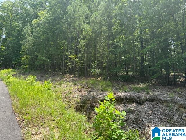 62 Bluebird Lane, Unit 11 Springville, AL 35146 - Photo 8 of 8
