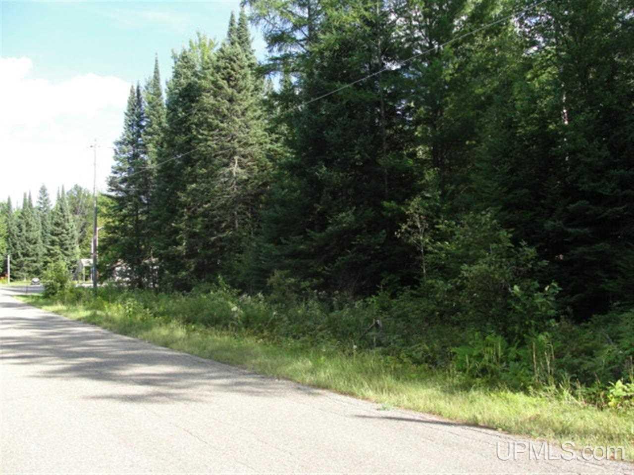 C-wi Wescher Road Niagara, WI 54151 - Photo 1 of 3