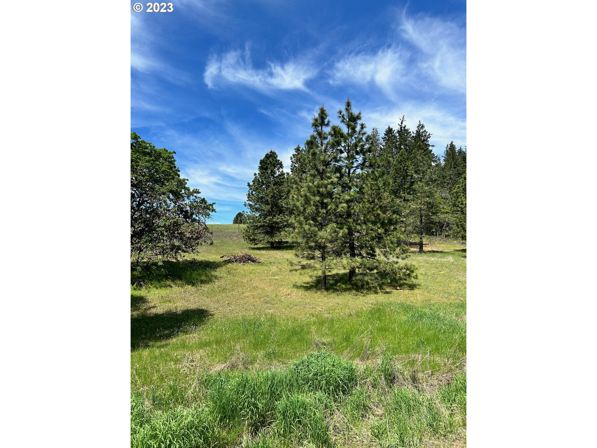 6 Knoll Ridge Road Lyle, WA 98635 - Photo 14 of 25 Gallery Image 14