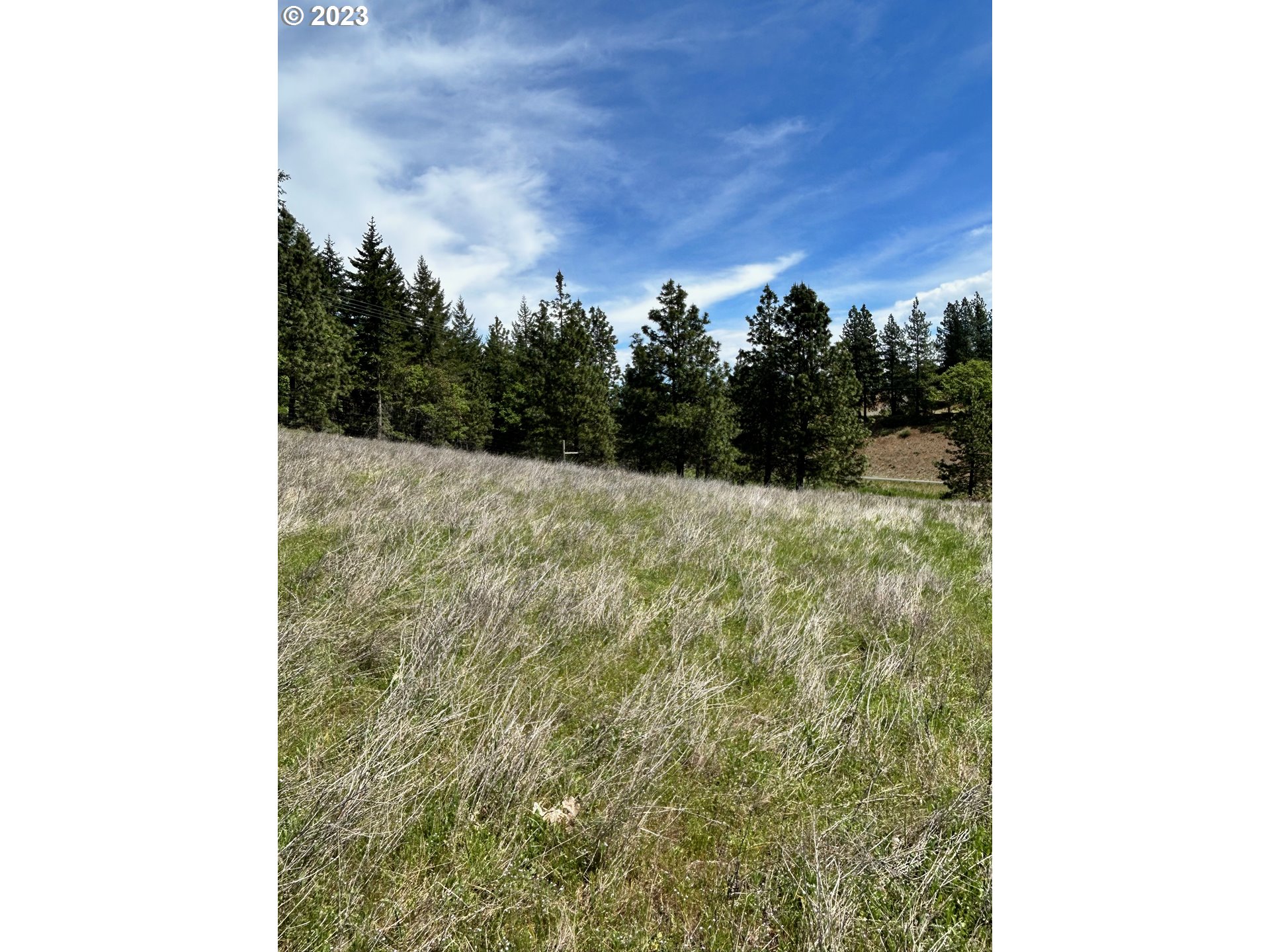 6 Knoll Ridge Road Lyle, WA 98635 - Photo 6 of 25 Gallery Image 6
