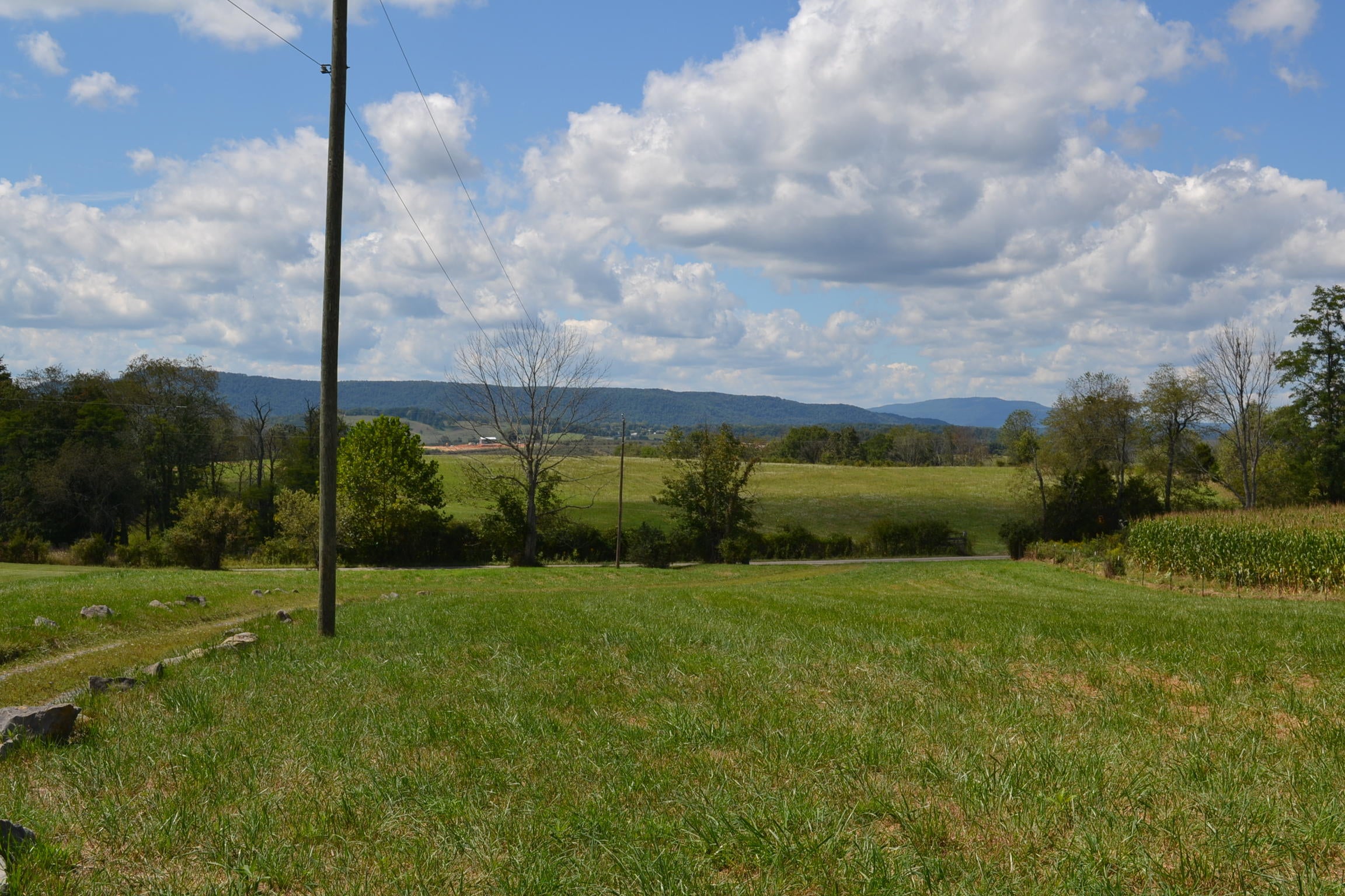 1310 Moore Road Sinks Grove, WV 24976 - Photo 17 of 59 Gallery Image 17