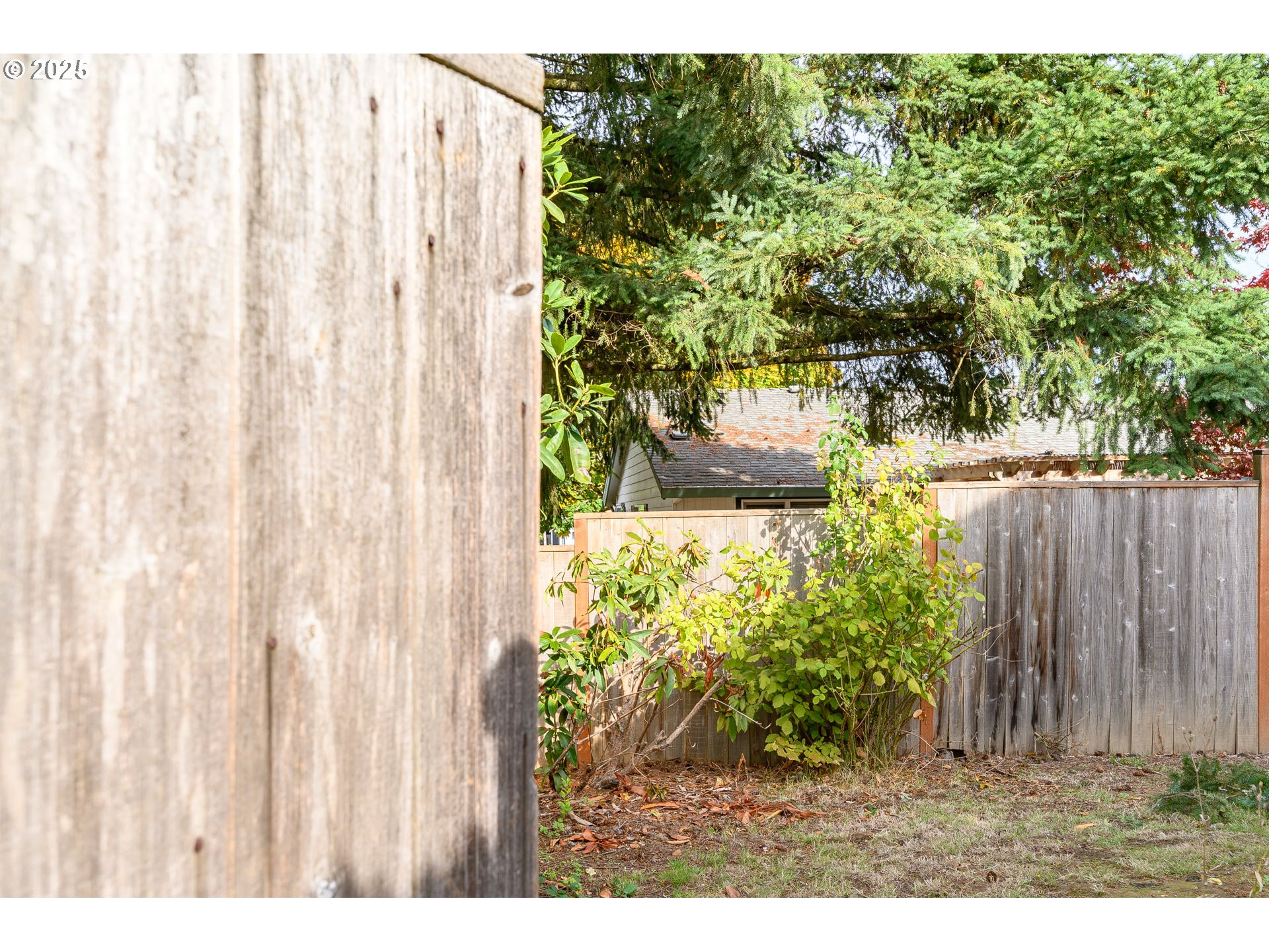 13675 Southwest Feiring Lane Tigard, OR 97223 - Photo 38 of 43 a view of a yard with plants and wooden fence