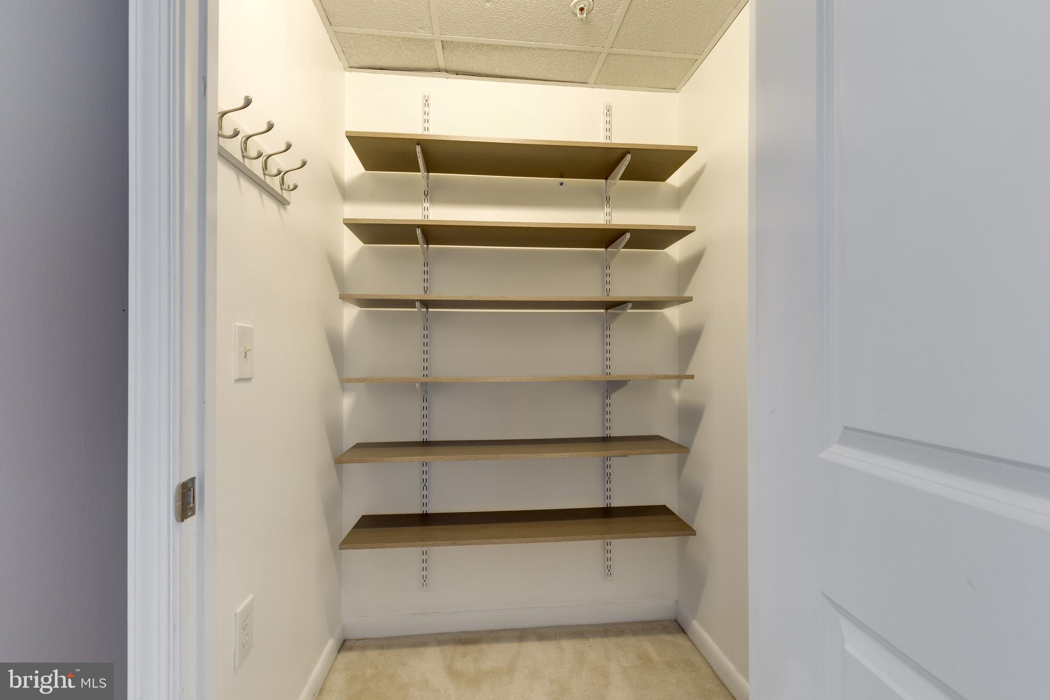 851 North Glebe Road, Unit 1020 Arlington, VA 22203 - Photo 22 of 52 Organizer in Closet