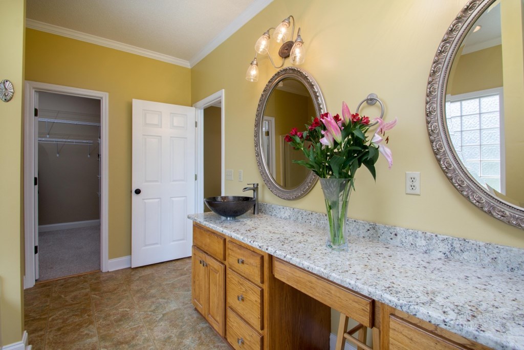 885 Jenkins Road, Unit 14 Forsyth, GA 31029 - Photo 15 of 33 a bathroom with a granite countertop sink a potted plant and a mirror