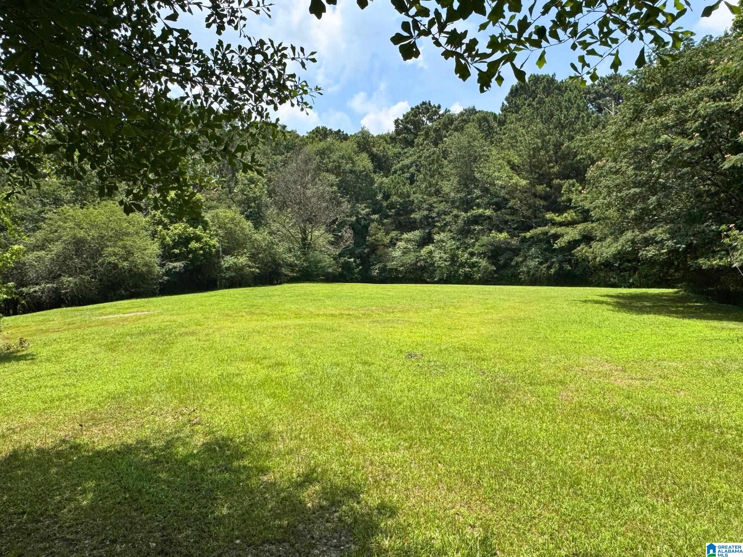 9132 3rd Avenue Trafford, AL 35172 - Photo 4 of 19
