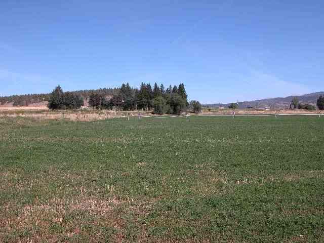 0 Cemetery Malin, OR 97632 - Photo 1 of 2 Primary Photo