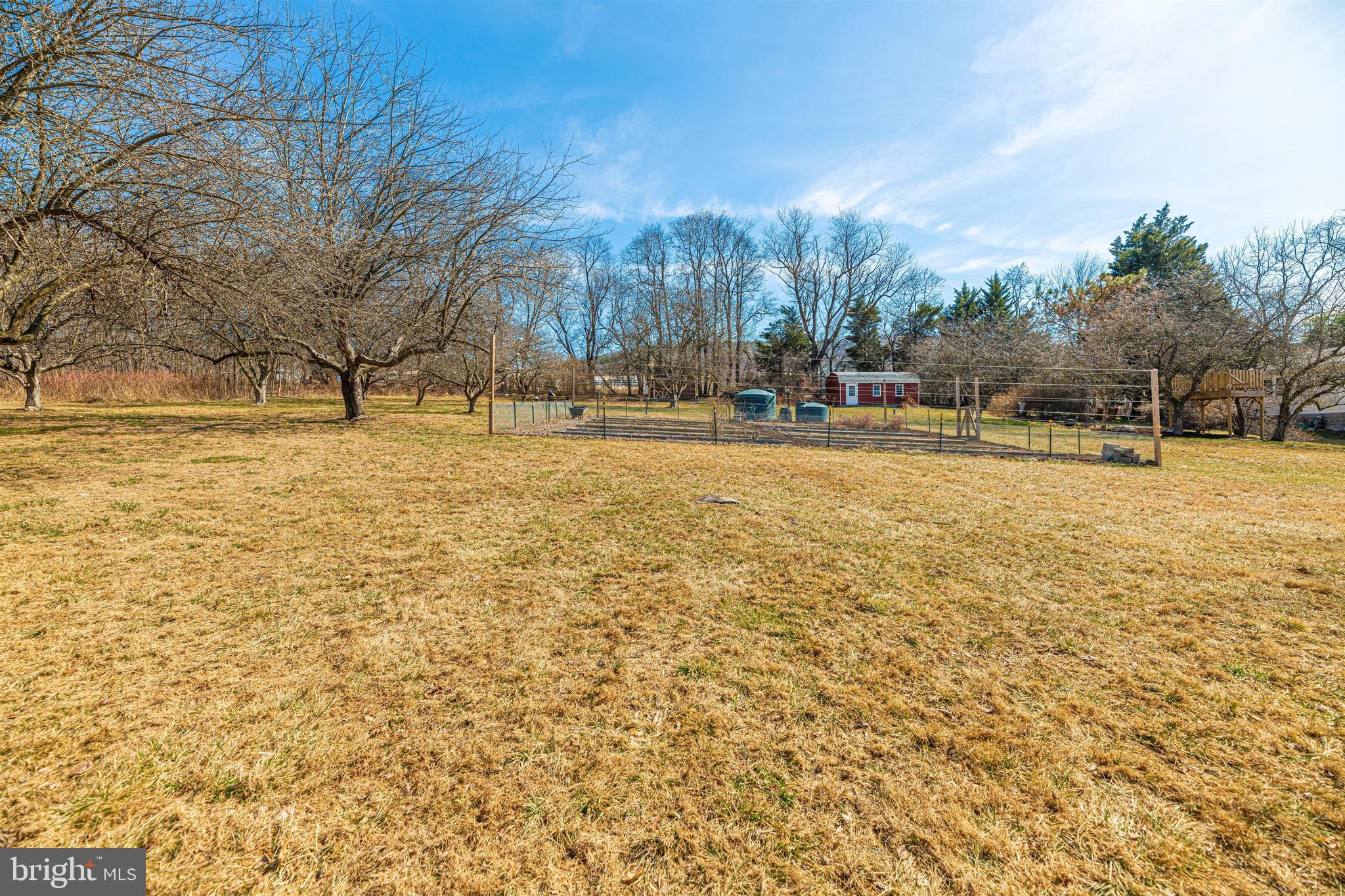 20824 Netz Road Boonsboro, MD 21713 - Photo 30 of 53 a view of yard with trees