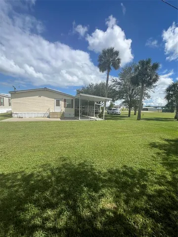 a view of a large trees with a big yard