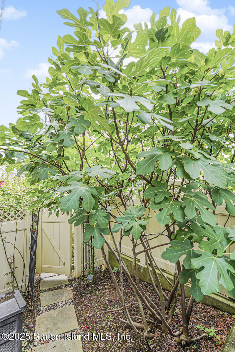 28 Brookside Loop Staten Island, NY 10309 - Photo 50 of 60 a backyard of a house with lots of green space