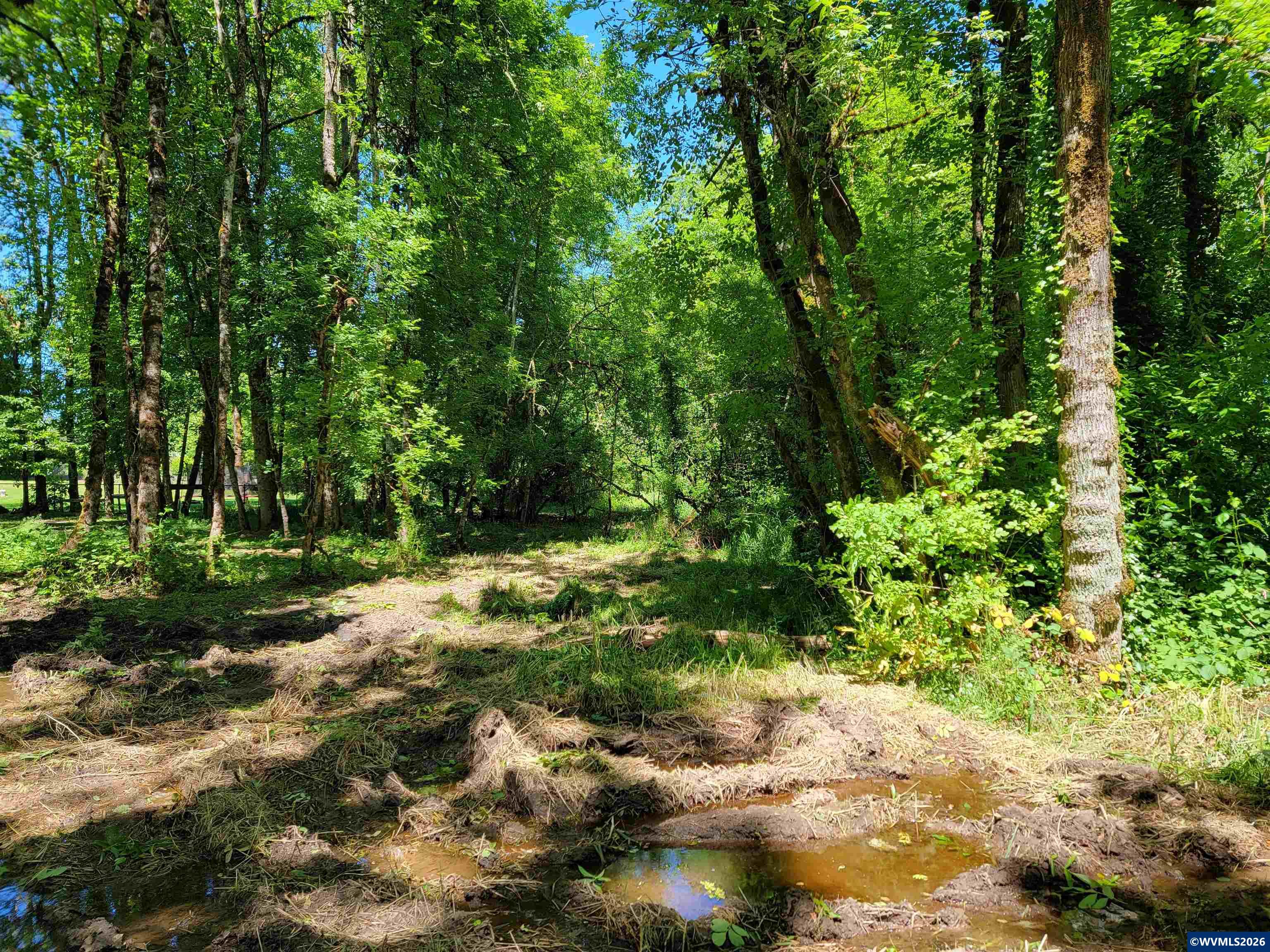 0 Oak Grove Albany, OR 97321 - Photo 17 of 30