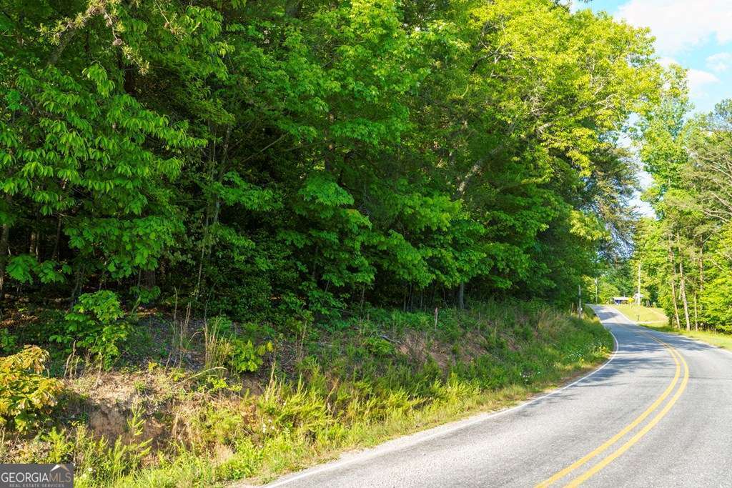 3 West Gum Log Road Warne, NC 28909 - Photo 14 of 14