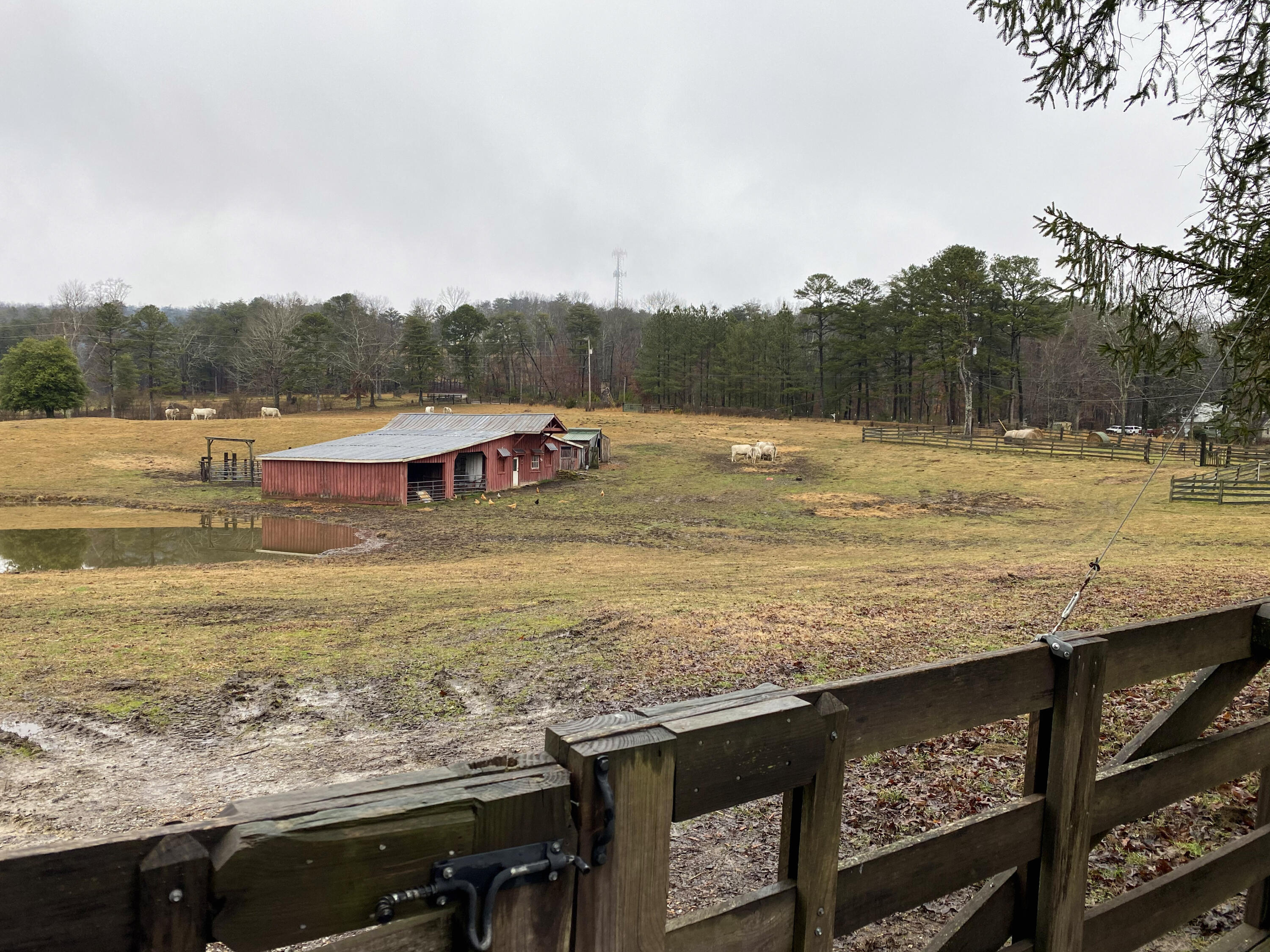 698 Payne Chapel Road Lookout Mountain, GA 30750 - Photo 107 of 124 26 - 698 Payne Chapel Rd - Seller Pics