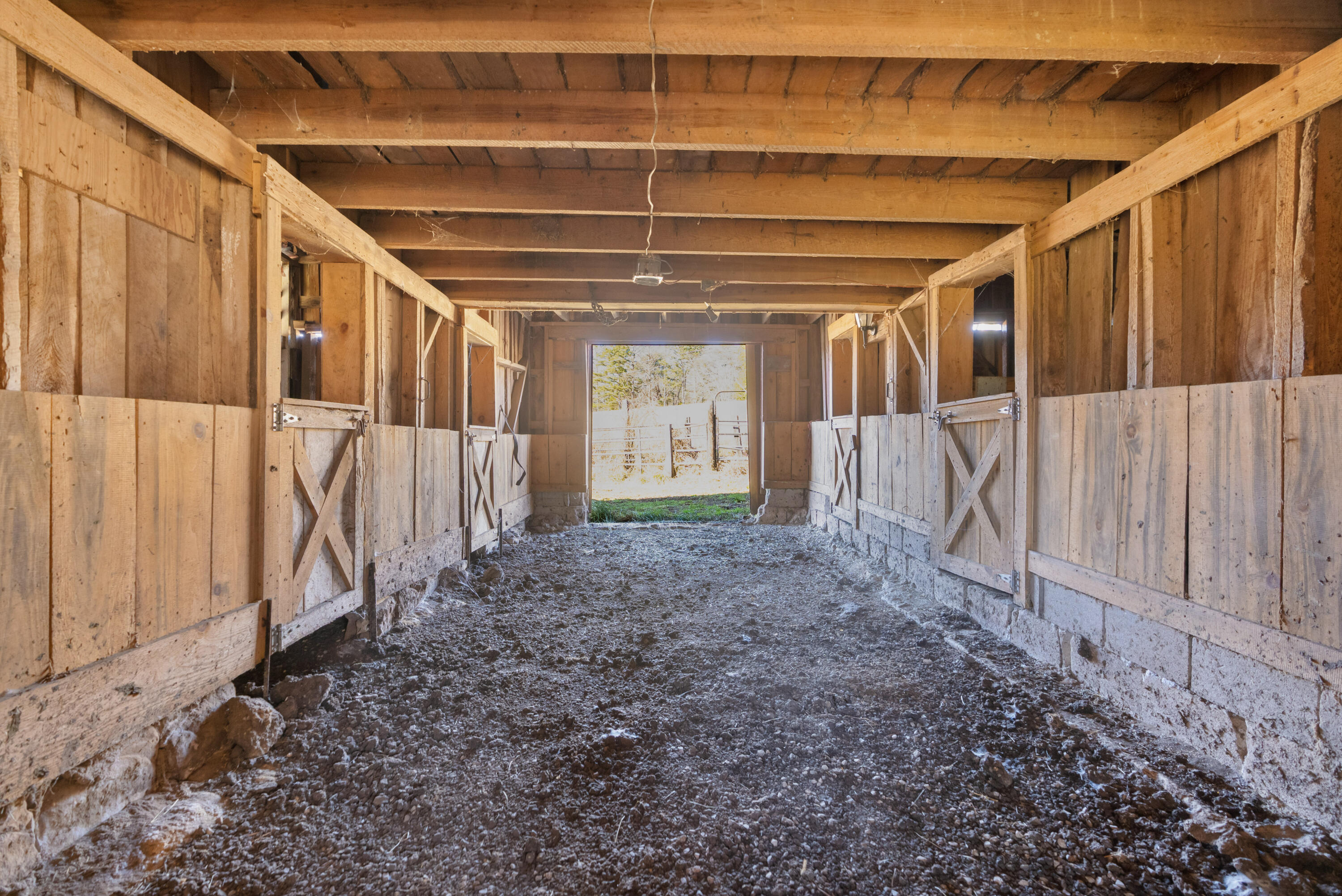 698 Payne Chapel Road Lookout Mountain, GA 30750 - Photo 34 of 101 57 - 698 Payne Chapel Rd - Ground