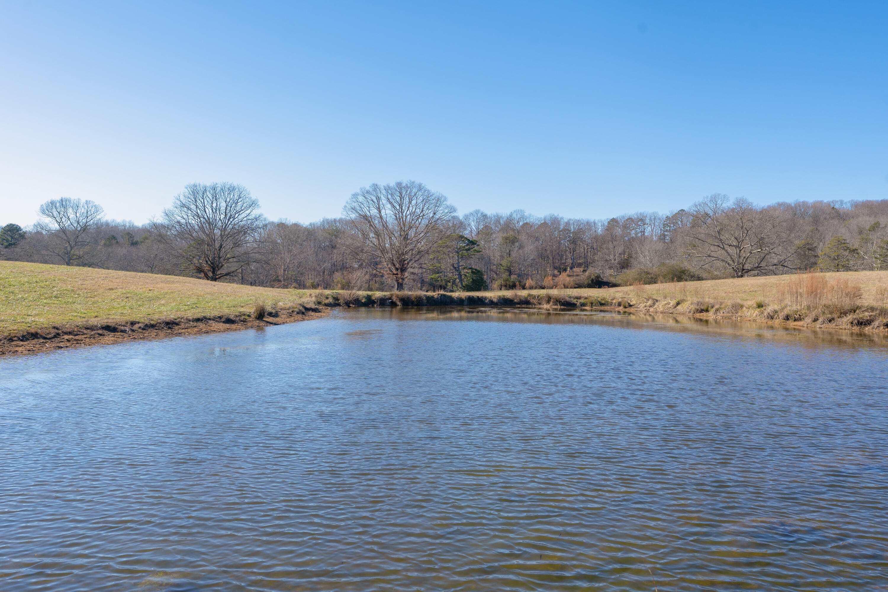 698 Payne Chapel Road Lookout Mountain, GA 30750 - Photo 40 of 101 51 - 698 Payne Chapel Rd - Ground