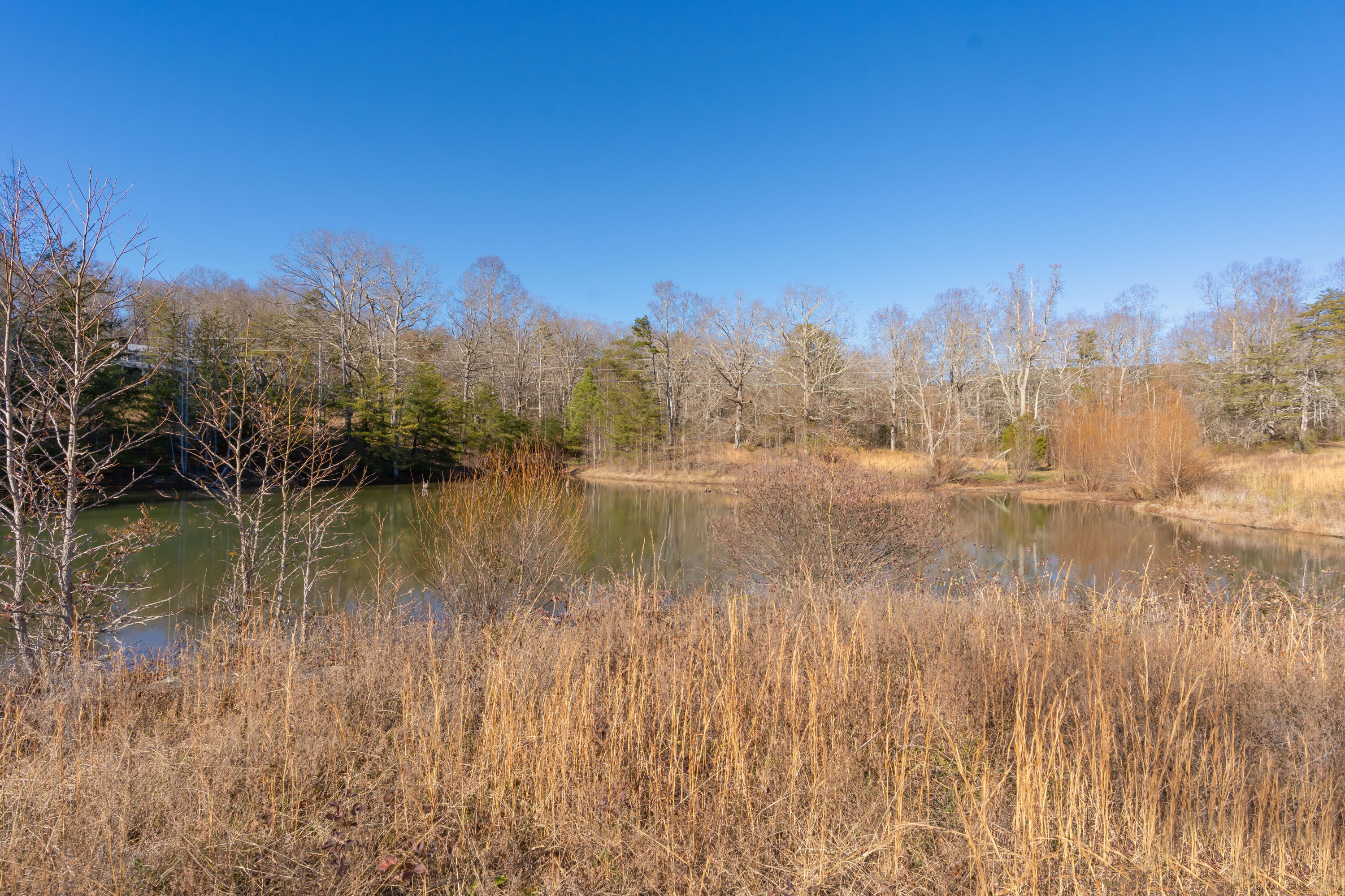 698 Payne Chapel Road Lookout Mountain, GA 30750 - Photo 47 of 101 60 - 698 Payne Chapel Rd - Ground