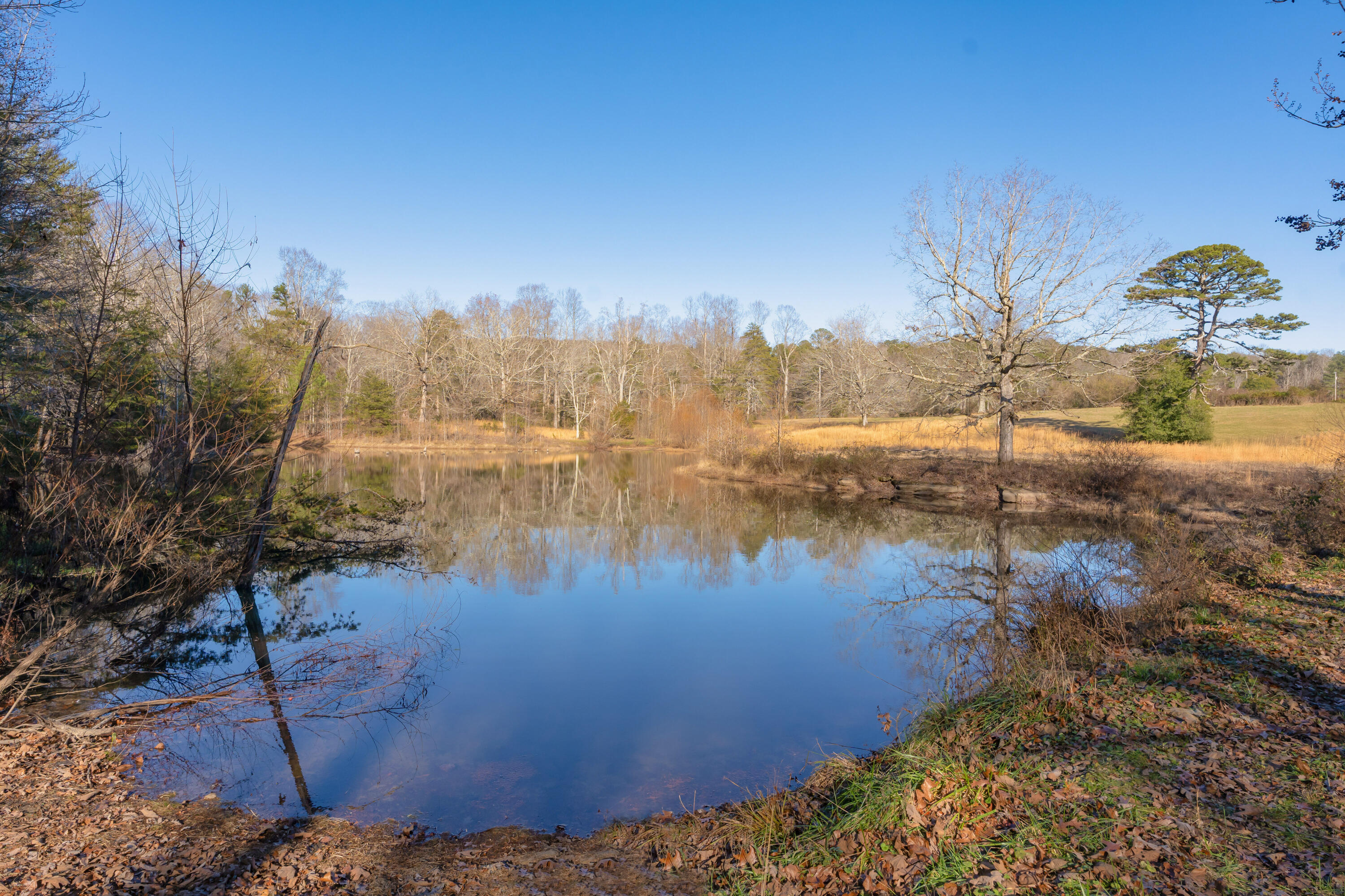 698 Payne Chapel Road Lookout Mountain, GA 30750 - Photo 48 of 101 66 - 698 Payne Chapel Rd - Ground
