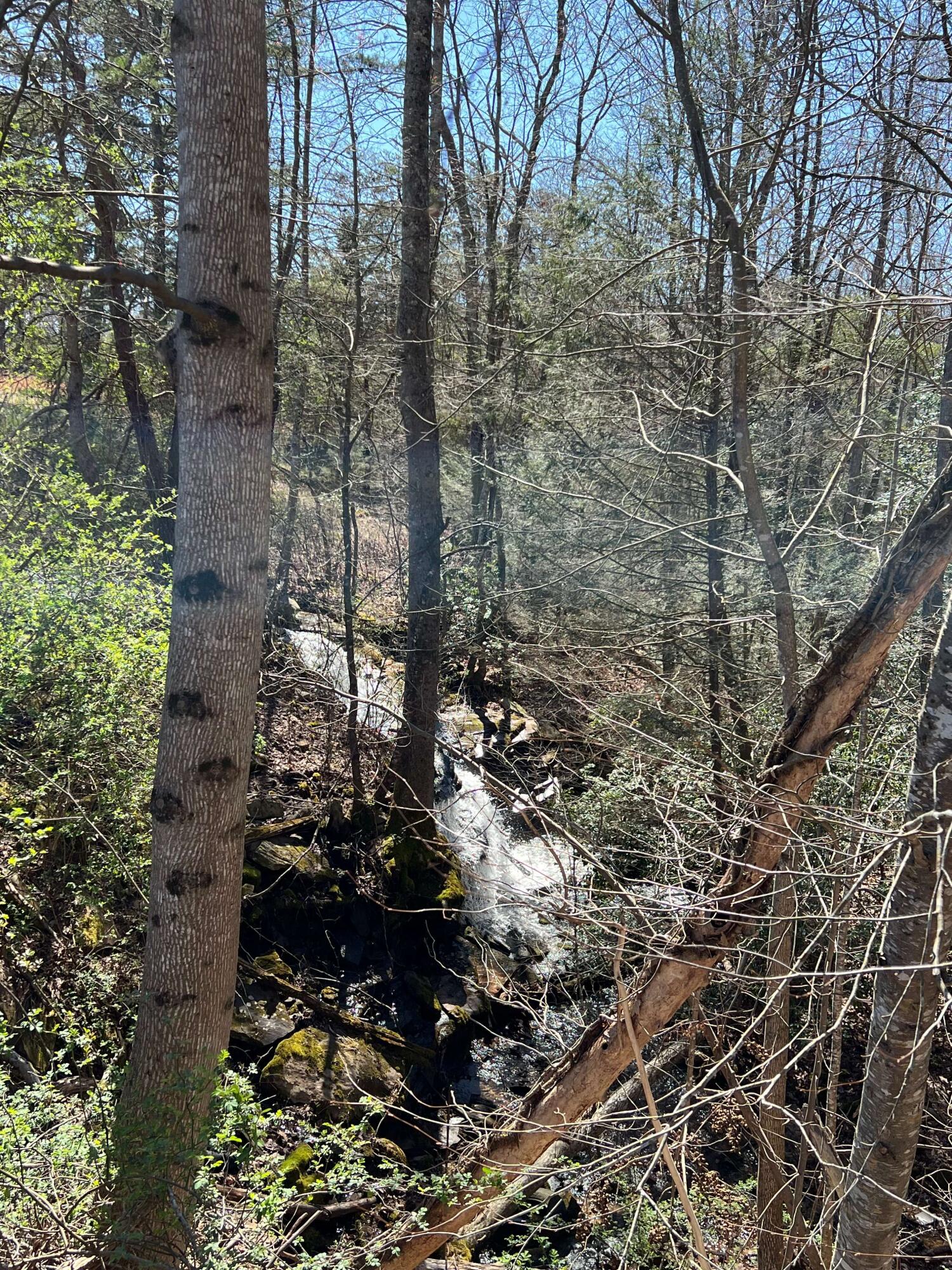 698 Payne Chapel Road Lookout Mountain, GA 30750 - Photo 52 of 101 35 - 698 Payne Chapel Rd - Seller Pics