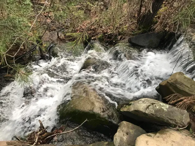 $2,500,000 | 698 Payne Chapel Road, Lookout Mountain, GA 30750