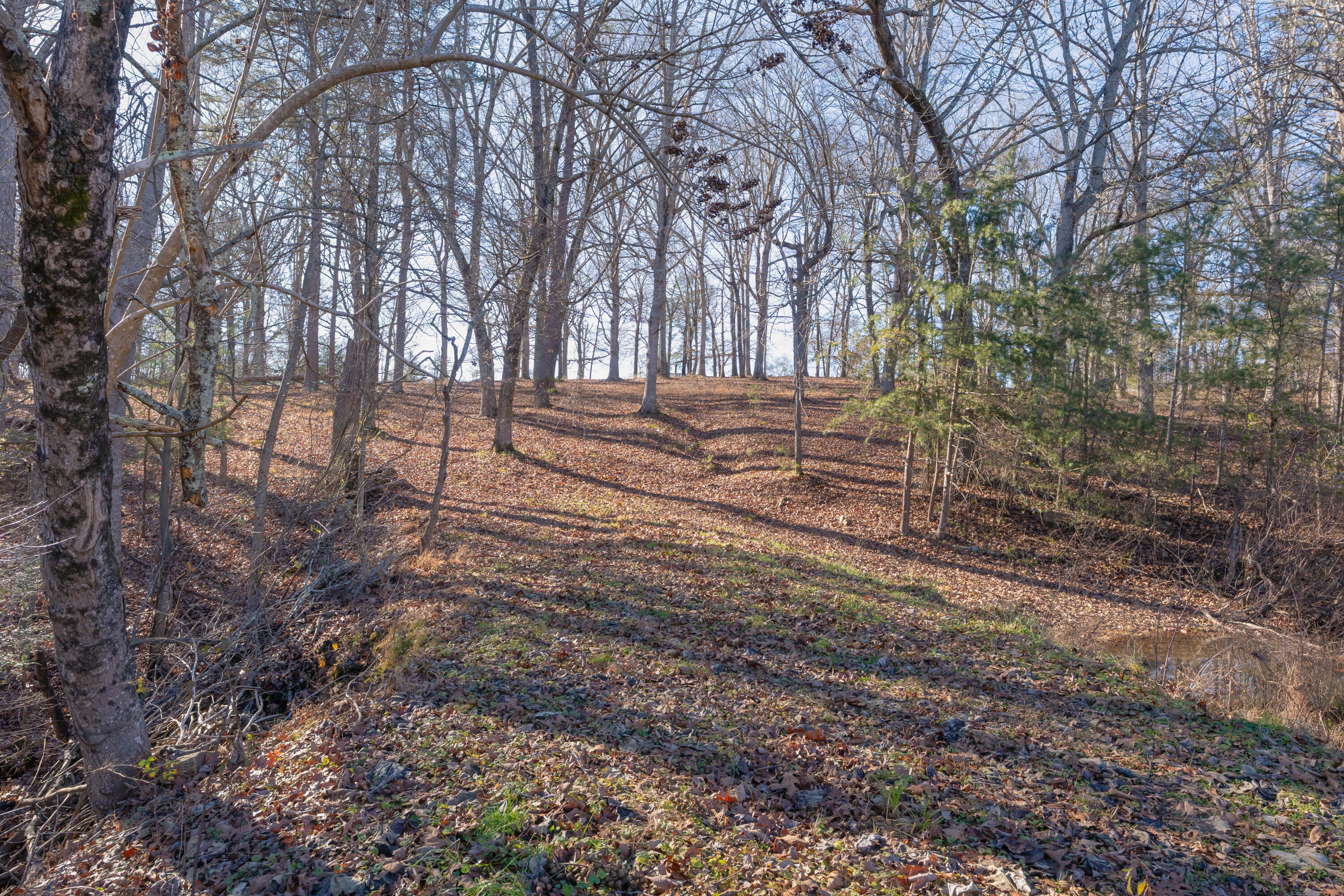 698 Payne Chapel Road Lookout Mountain, GA 30750 - Photo 59 of 101 64 - 698 Payne Chapel Rd - Ground