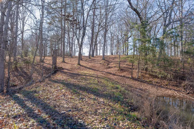 $2,500,000 | 698 Payne Chapel Road, Lookout Mountain, GA 30750