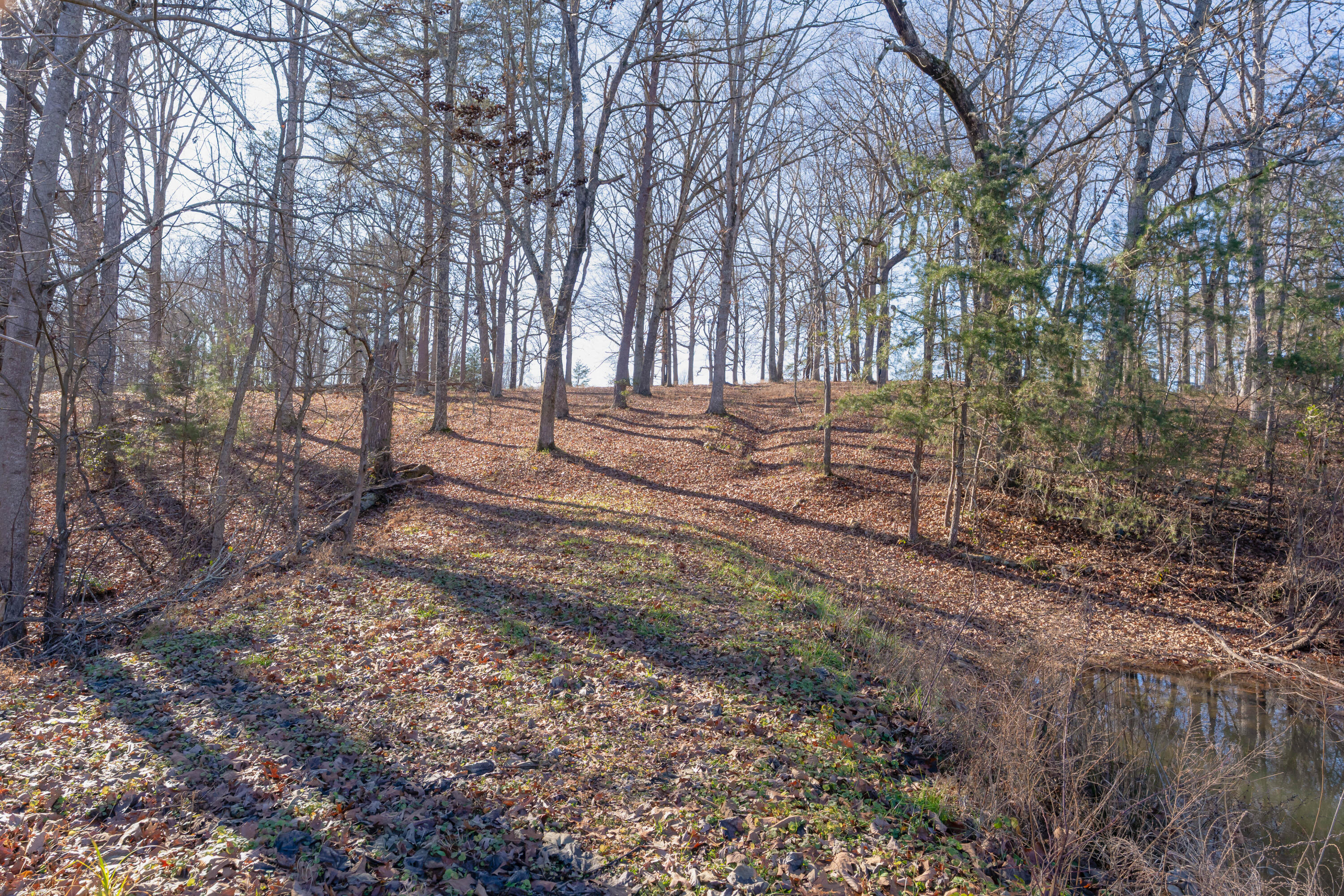 698 Payne Chapel Road Lookout Mountain, GA 30750 - Photo 60 of 101 65 - 698 Payne Chapel Rd - Ground
