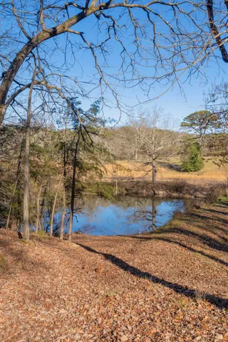 $2,500,000 | 698 Payne Chapel Road, Lookout Mountain, GA 30750