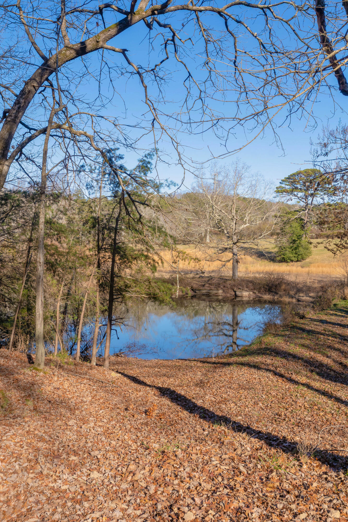 698 Payne Chapel Road Lookout Mountain, GA 30750 - Photo 62 of 101 67 - 698 Payne Chapel Rd - Ground