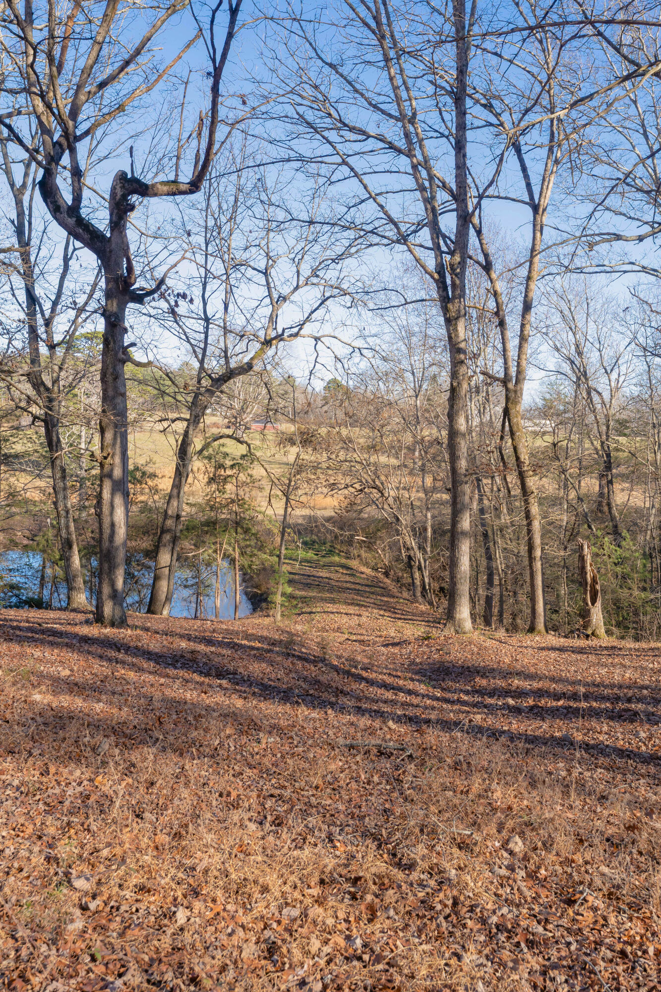 698 Payne Chapel Road Lookout Mountain, GA 30750 - Photo 63 of 101 69 - 698 Payne Chapel Rd - Ground