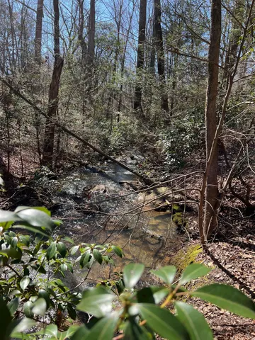 $2,500,000 | 698 Payne Chapel Road, Lookout Mountain, GA 30750