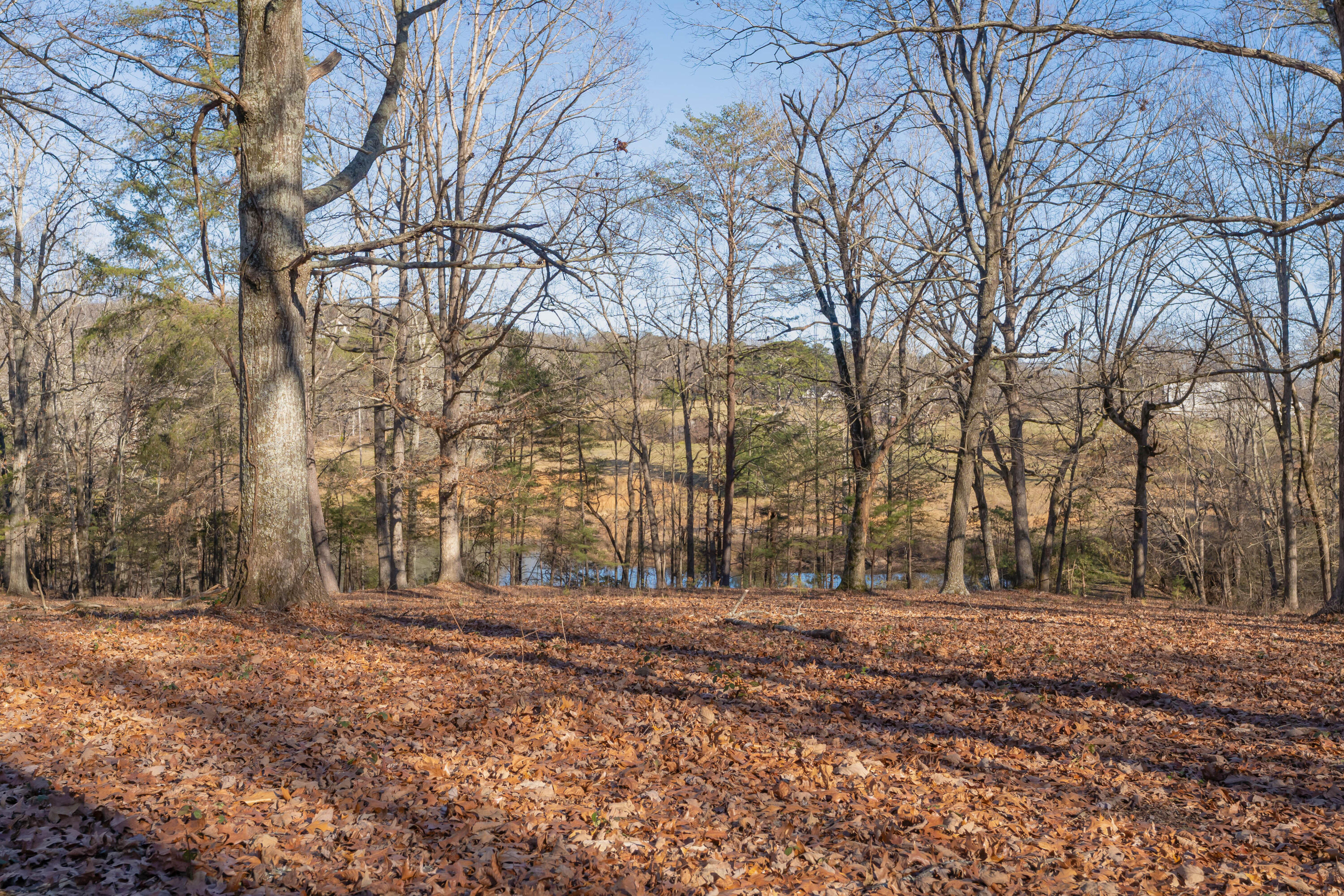 698 Payne Chapel Road Lookout Mountain, GA 30750 - Photo 67 of 101 71 - 698 Payne Chapel Rd - Ground