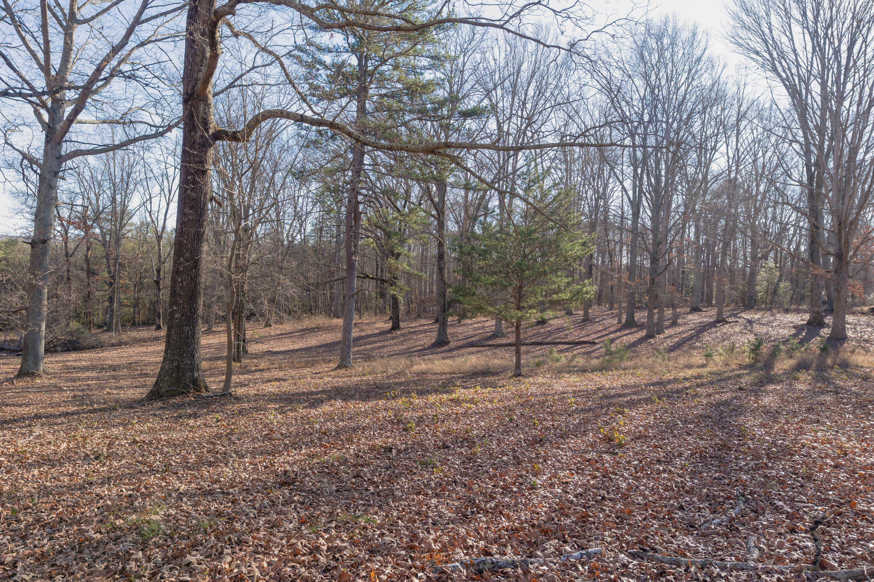 698 Payne Chapel Road Lookout Mountain, GA 30750 - Photo 68 of 101 72 - 698 Payne Chapel Rd - Ground