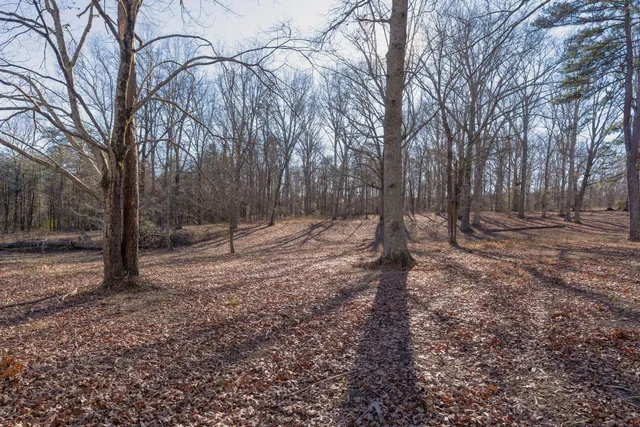 $2,500,000 | 698 Payne Chapel Road, Lookout Mountain, GA 30750